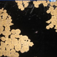 ��(n��i)�N(xi��o)��ӡ��z�������q