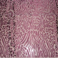 ��z�����N(xi��o)