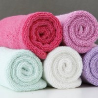 100%�����w�S����