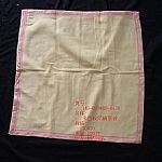 ��ɫ�z����ͯ��