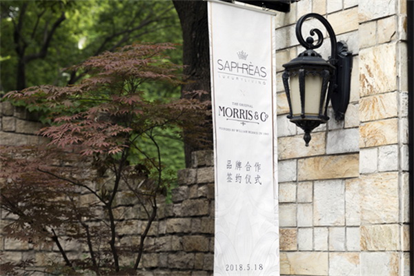 ���������Ī��˹��Morris���c�zܽ��(li��n)�����_��(chu��ng)�Ҿ�IP�r��