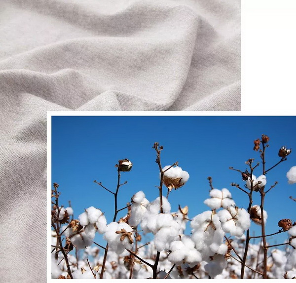 COMOLIVING�Ƴ��~������˯���������ߵ�����ęn