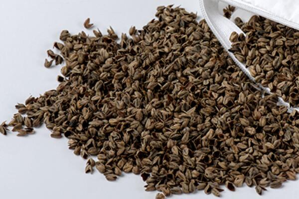 ��������Ȼ���������ѻ��Ҽ��ĸ�ɽ���w������s�ߴ����﷦����