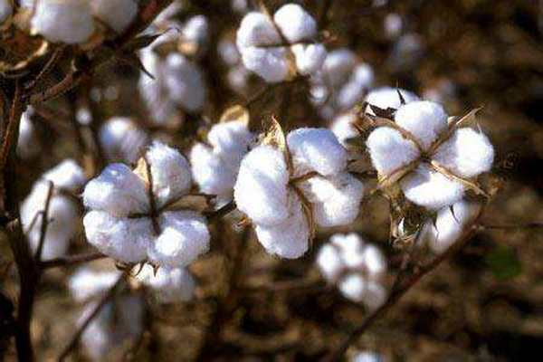 ��������Ȼ���������ѻ��Ҽ��ĸ�ɽ���w������s�ߴ����﷦����