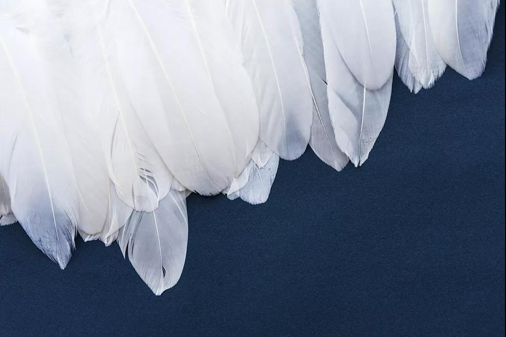 ����Ʒ�Z�q�����˜ʳ��_���쿴�����I�ı����_���˛]��