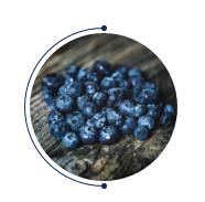 ��̫�(y��ng)�Ƴ���Ʒ--2020֮��(j��ng)�䡰�{(l��n)������ϵ��