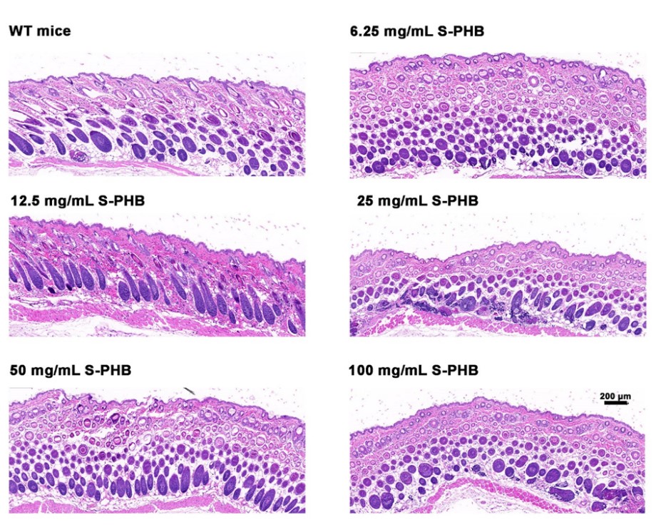 ������V�V��������Ʒ���о����l(f��)չڅ��(sh��)