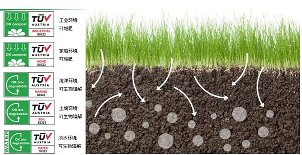 �۽��ɳ��m(x��)�l(f��)չ���c���ṩ��S��Q�������m�����Є���